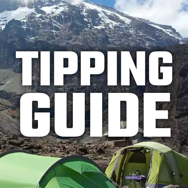 💸 Tipping