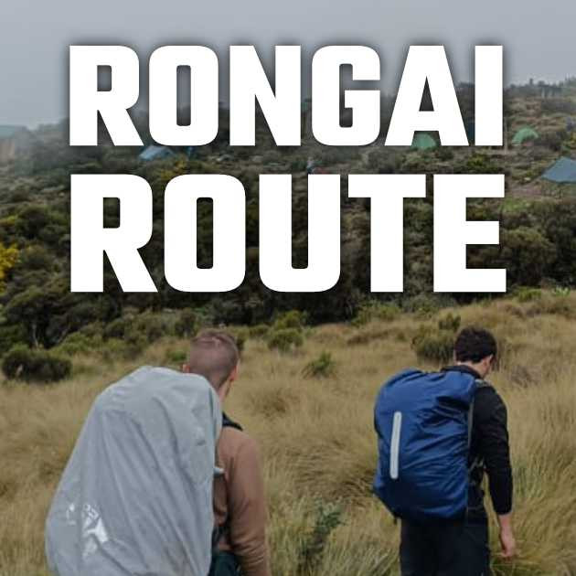 🧭 Rongai