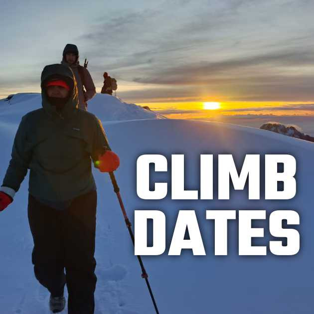 📅 Dates